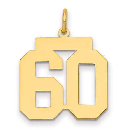 14K Gelbgold 14K Mittel Poliert Zahl 60 Charm