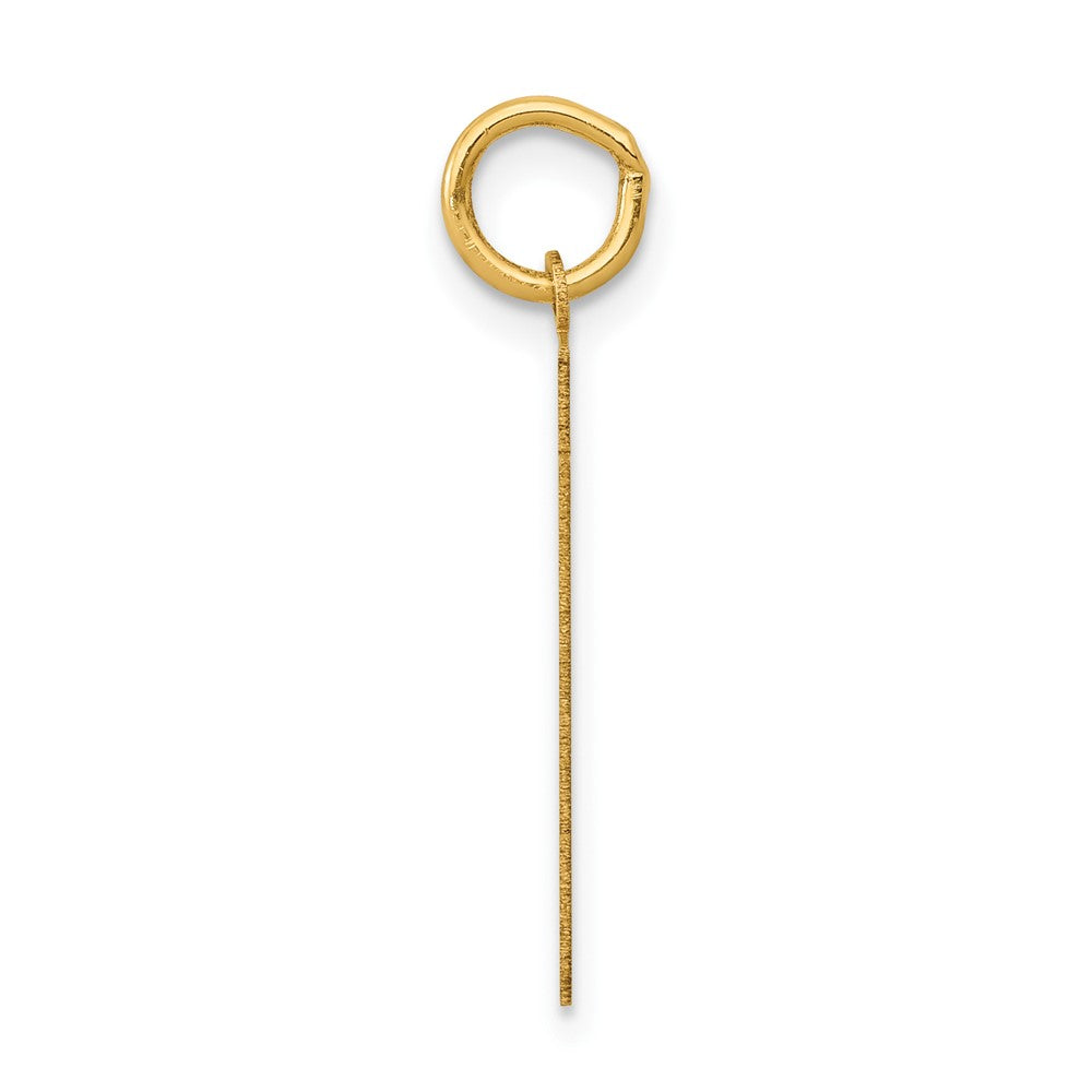 14K Gelbgold 14K Mittel Poliert Zahl 61 Charm