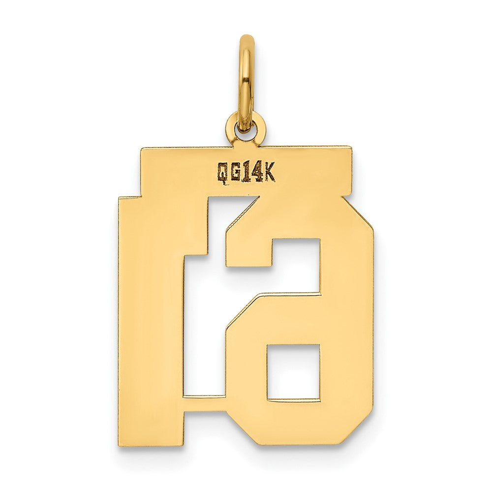 14K Gelbgold 14K Mittel Poliert Zahl 61 Charm
