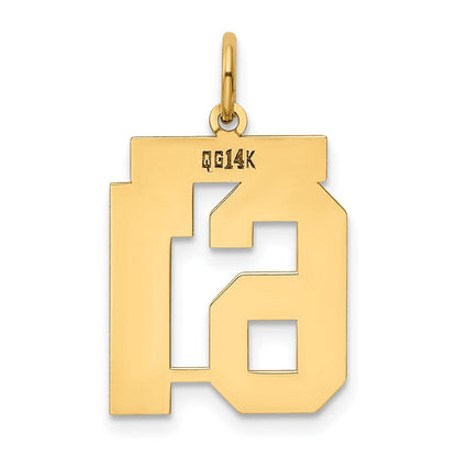 14K Gelbgold 14K Mittel Poliert Zahl 61 Charm