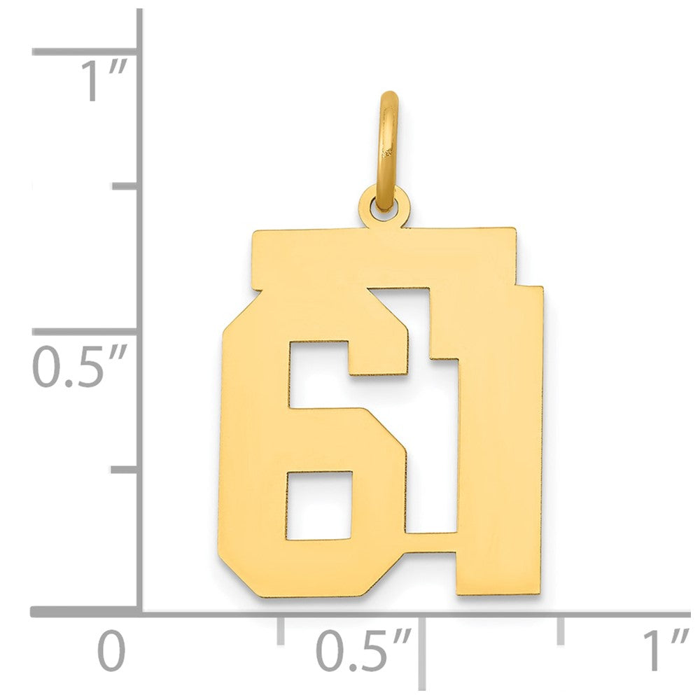 14K Gelbgold 14K Mittel Poliert Zahl 61 Charm