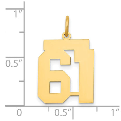 14K Gelbgold 14K Mittel Poliert Zahl 61 Charm