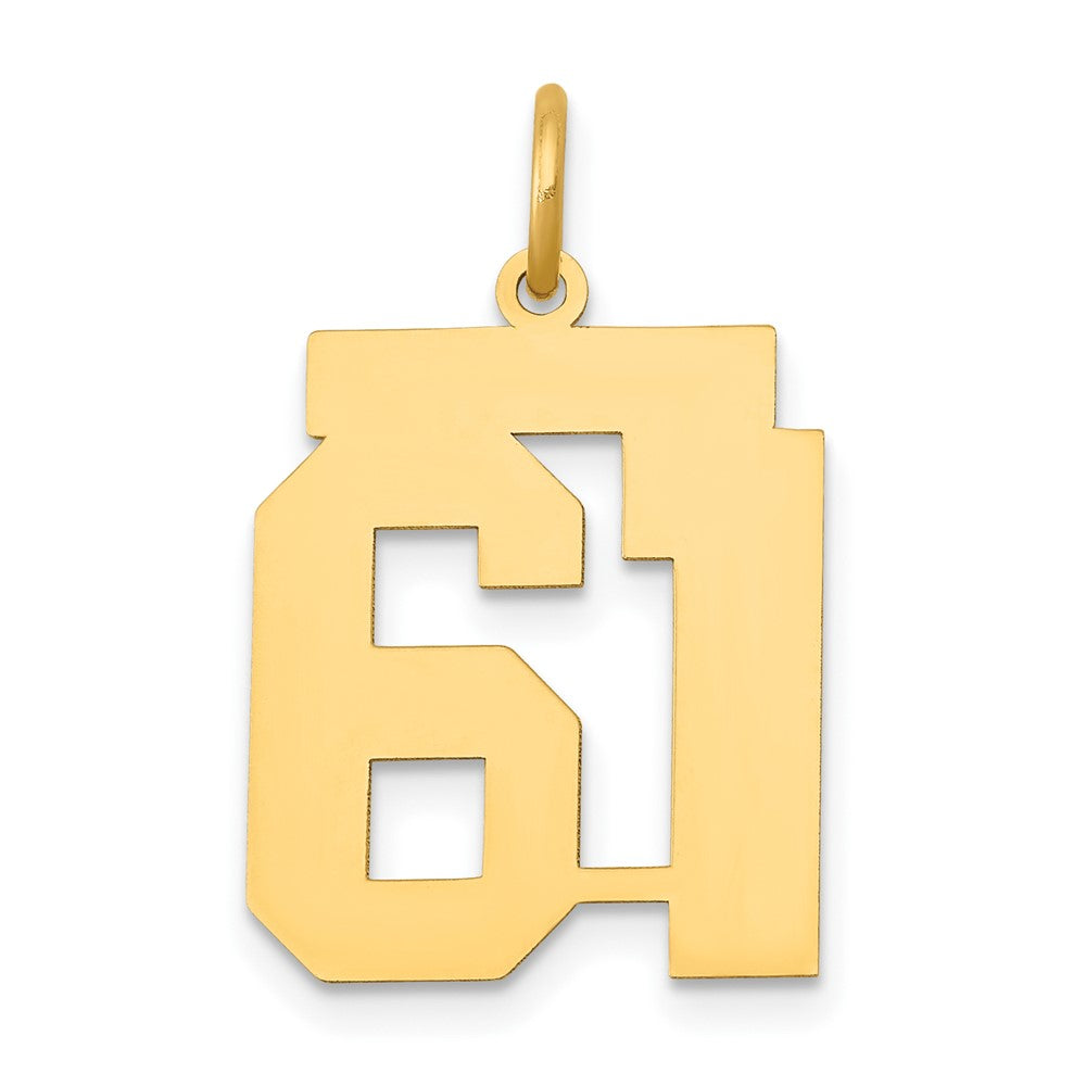 14K Gelbgold 14K Mittel Poliert Zahl 61 Charm