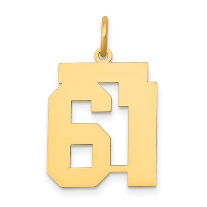 14K Gelbgold 14K Mittel Poliert Zahl 61 Charm