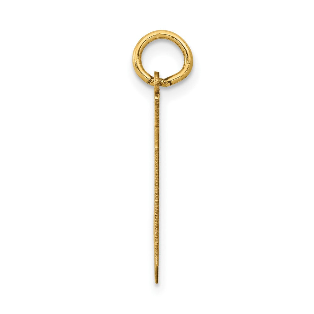 14K Gelbgold Mittel Poliert Zahl 69 Charm