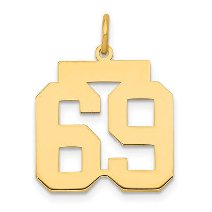 14K Gelbgold Mittel Poliert Zahl 69 Charm