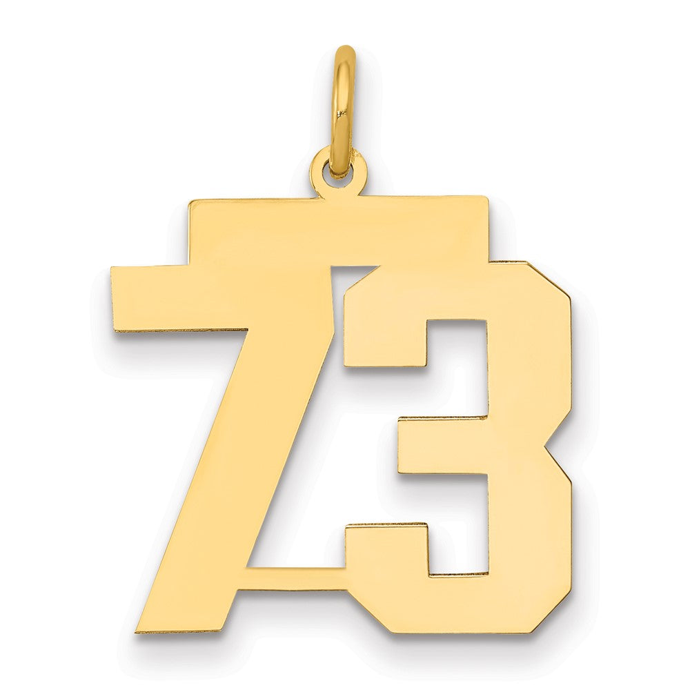 14K Gelbgold Mittel Poliert Zahl 73 Charm