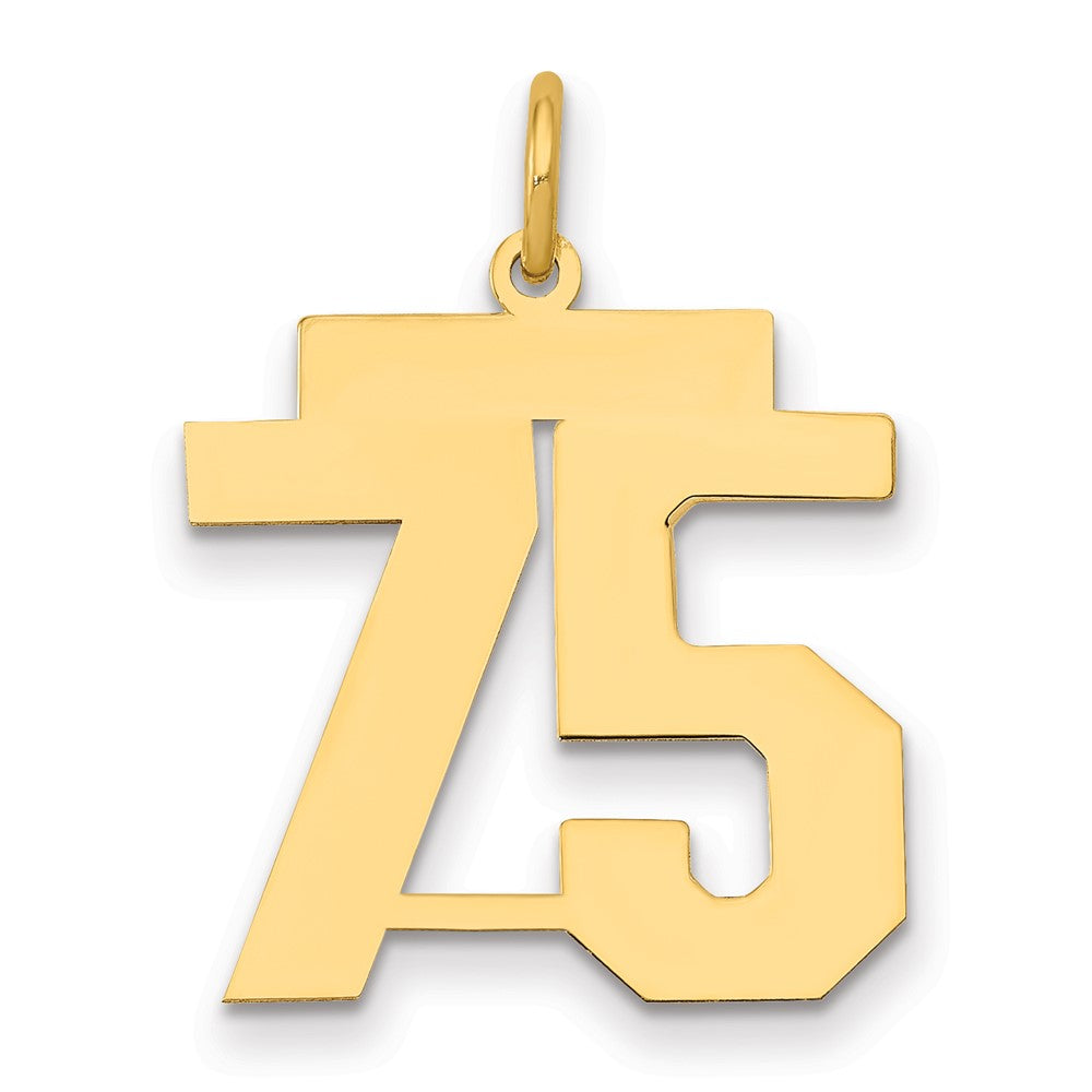 14K Gelbgold Mittel Poliert Zahl 75 Charm