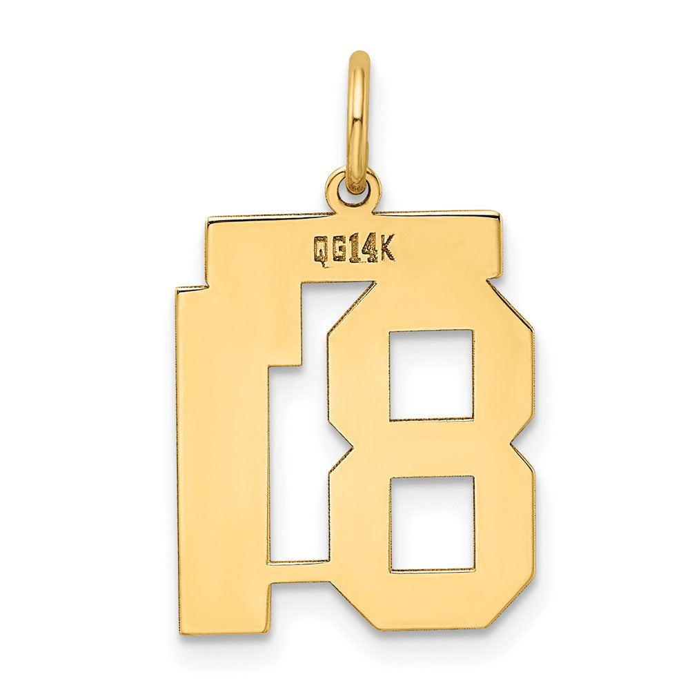 14K Gelbgold Mittel Poliert Zahl 81 Charm