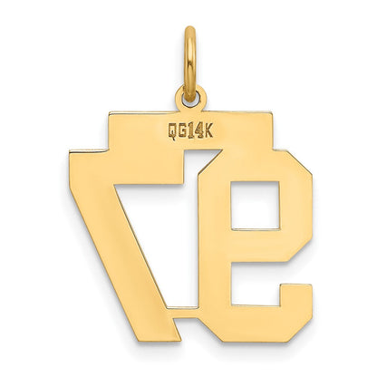 14K Gelbgold 14K Mittel Poliert Zahl 97 Charm