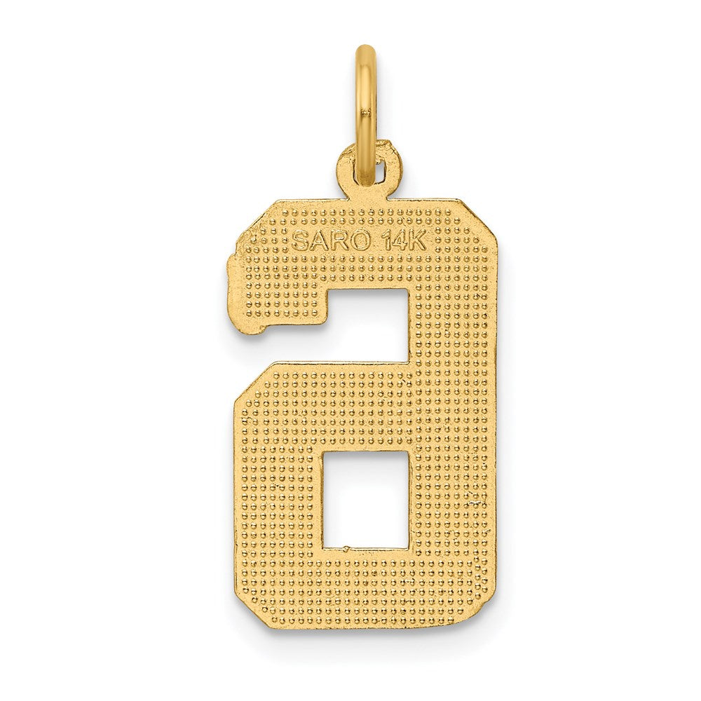 14K Gelbgold großer gebürsteter Charm mit Diamantschliff „Zahl 6“
