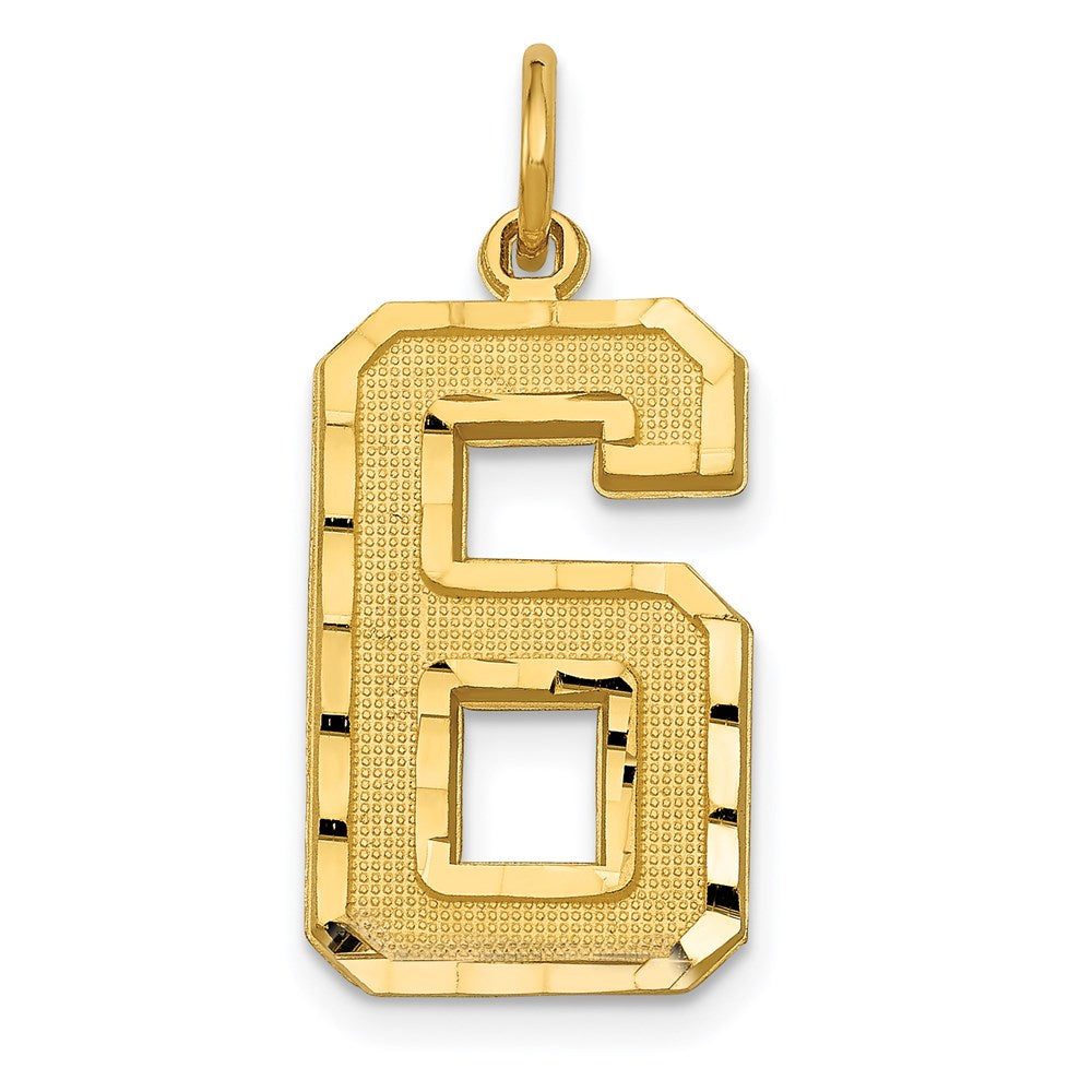 14K Gelbgold großer gebürsteter Charm mit Diamantschliff „Zahl 6“