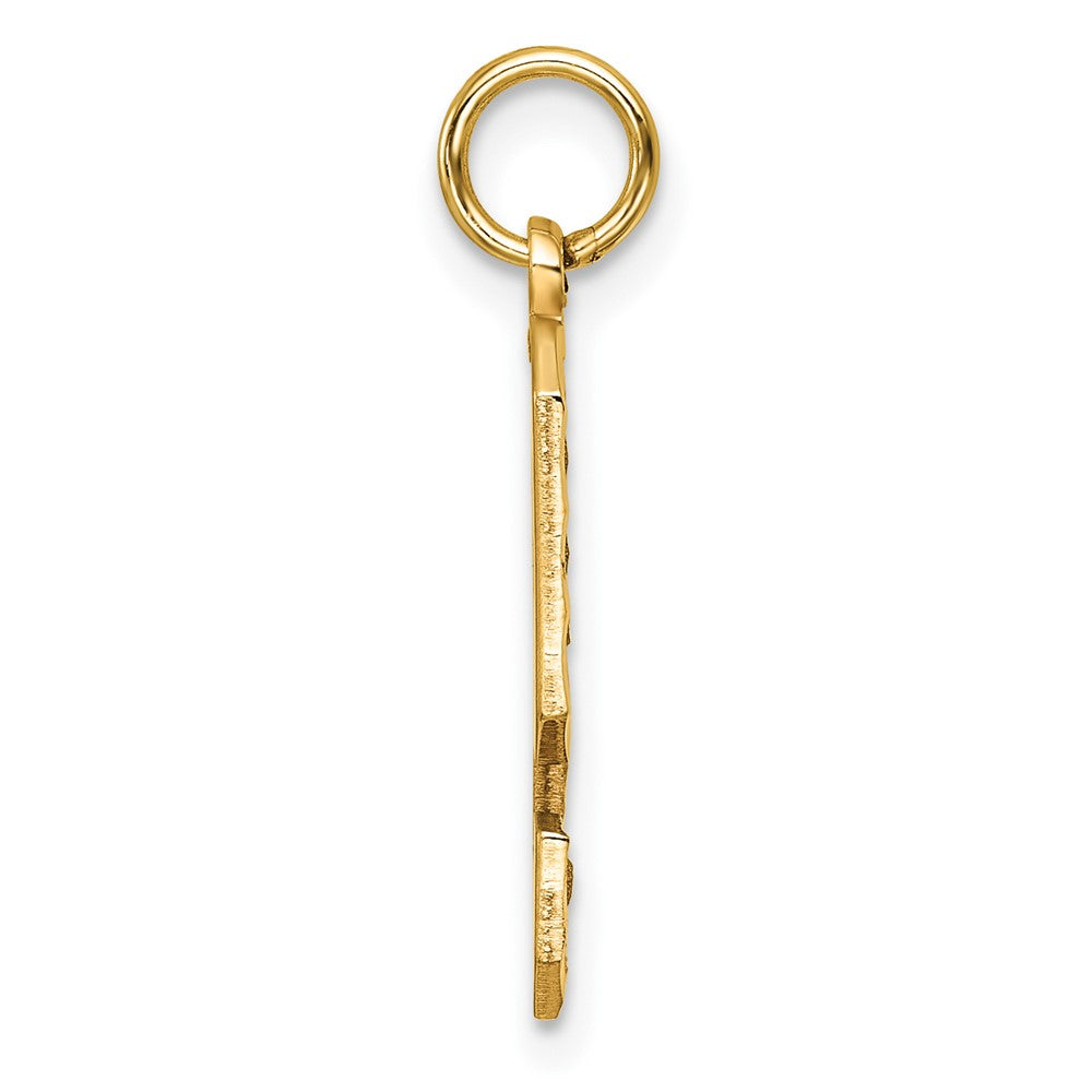 14K Gelbgold Großer Gebürsteter Diamantgeschliffener Zahl-9-Charm