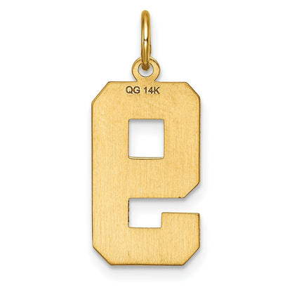 14K Gelbgold Großer Gebürsteter Diamantgeschliffener Zahl-9-Charm