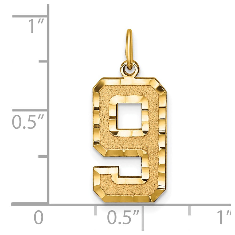 14K Gelbgold Großer Gebürsteter Diamantgeschliffener Zahl-9-Charm