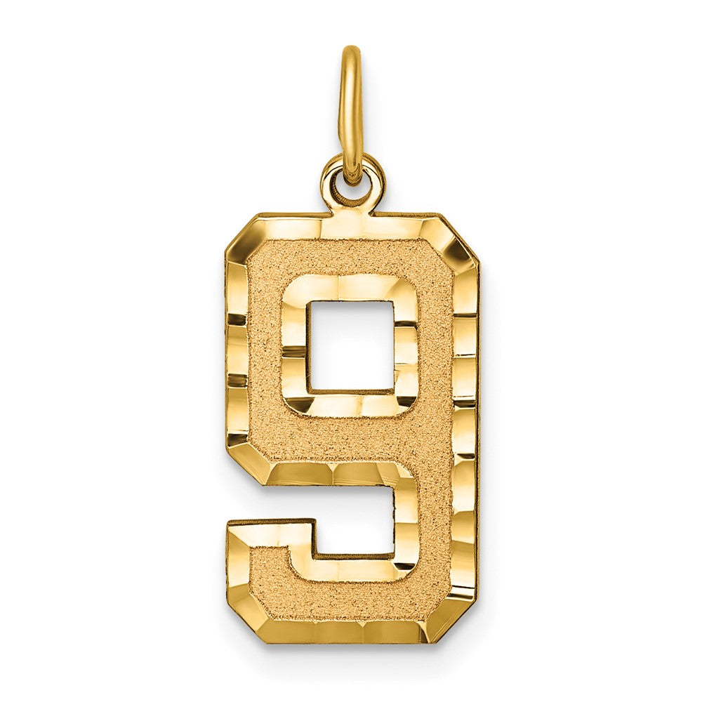 14K Gelbgold Großer Gebürsteter Diamantgeschliffener Zahl-9-Charm