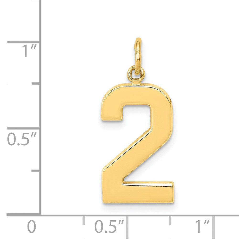 14K Gelbgold großer polierter Charm Zahl 2
