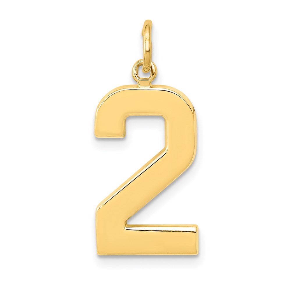 14K Gelbgold großer polierter Charm Zahl 2
