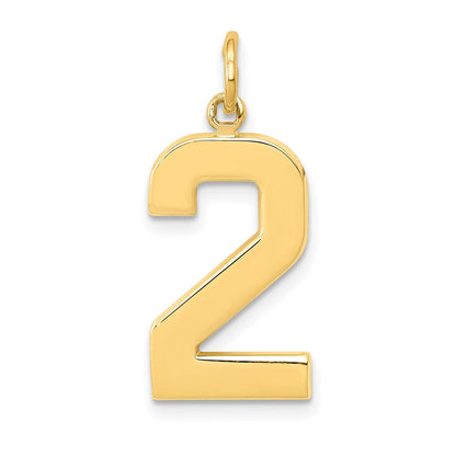 14K Gelbgold großer polierter Charm Zahl 2