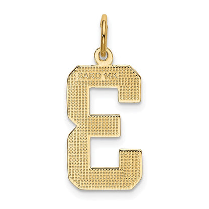 14K Gelbgold Großer Polierter Zahl-3-Charm