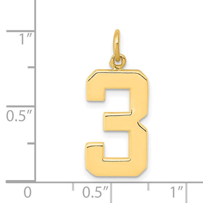 14K Gelbgold Großer Polierter Zahl-3-Charm