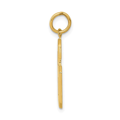 14K Gelbgold großer polierter Charm Zahl 6
