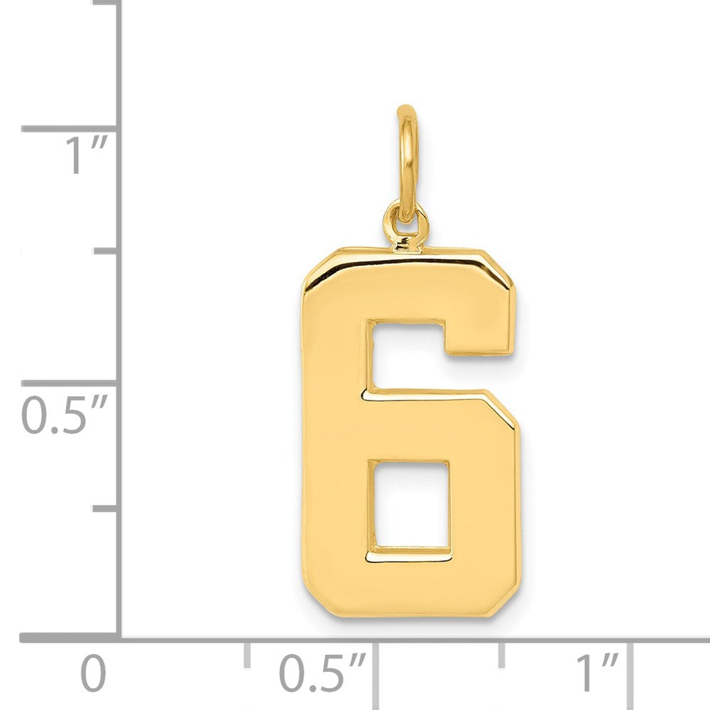 14K Gelbgold großer polierter Charm Zahl 6