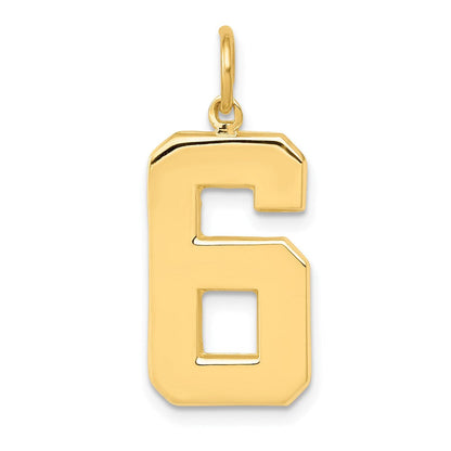 14K Gelbgold großer polierter Charm Zahl 6