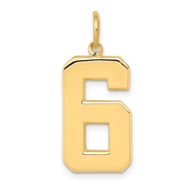 14K Gelbgold großer polierter Charm Zahl 6