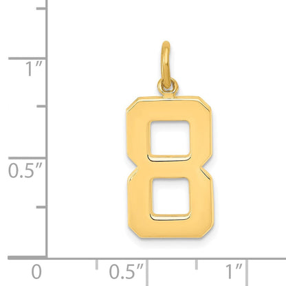 14K Gelbgold großer polierter Charm „Zahl 8