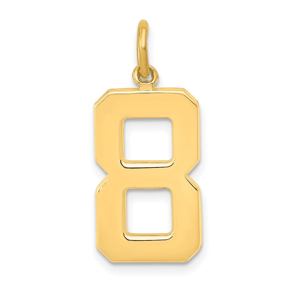 14K Gelbgold großer polierter Charm „Zahl 8