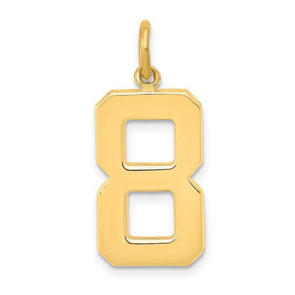 14K Gelbgold großer polierter Charm „Zahl 8