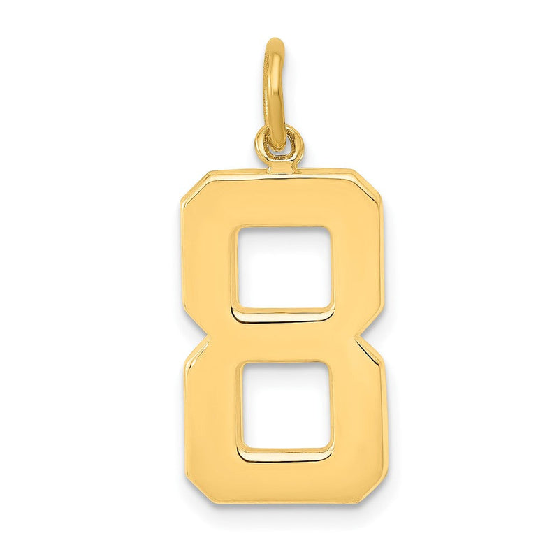 14K Gelbgold großer polierter Charm „Zahl 8