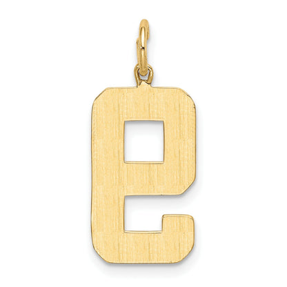 14 K Gelbgold großer polierter Charm „Zahl 9“