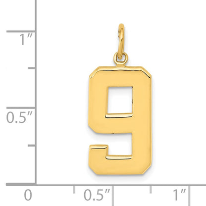 14 K Gelbgold großer polierter Charm „Zahl 9“