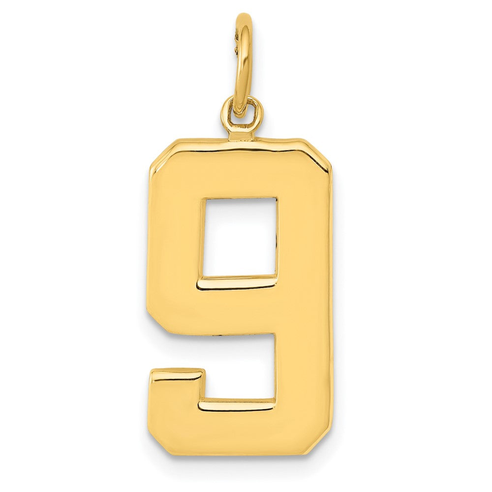 14 K Gelbgold großer polierter Charm „Zahl 9“