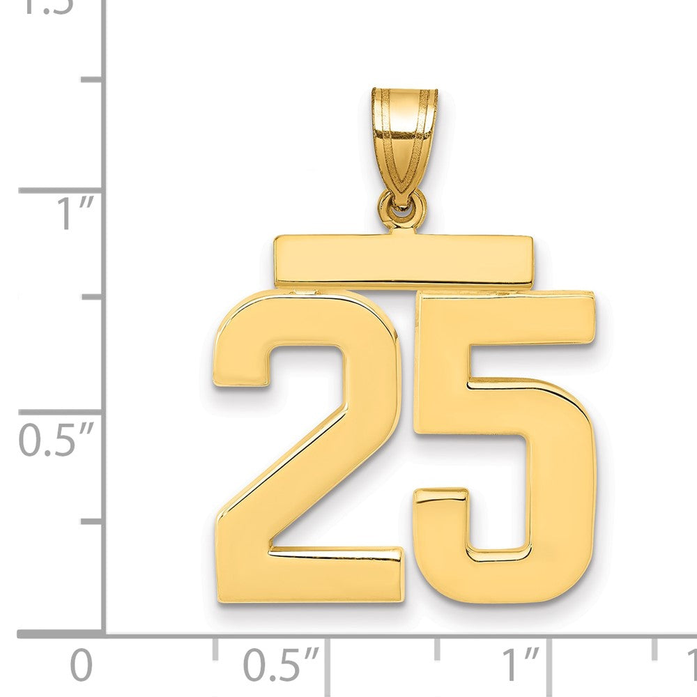 14K Gelbgold Großer Polierter Charm Zahl 25