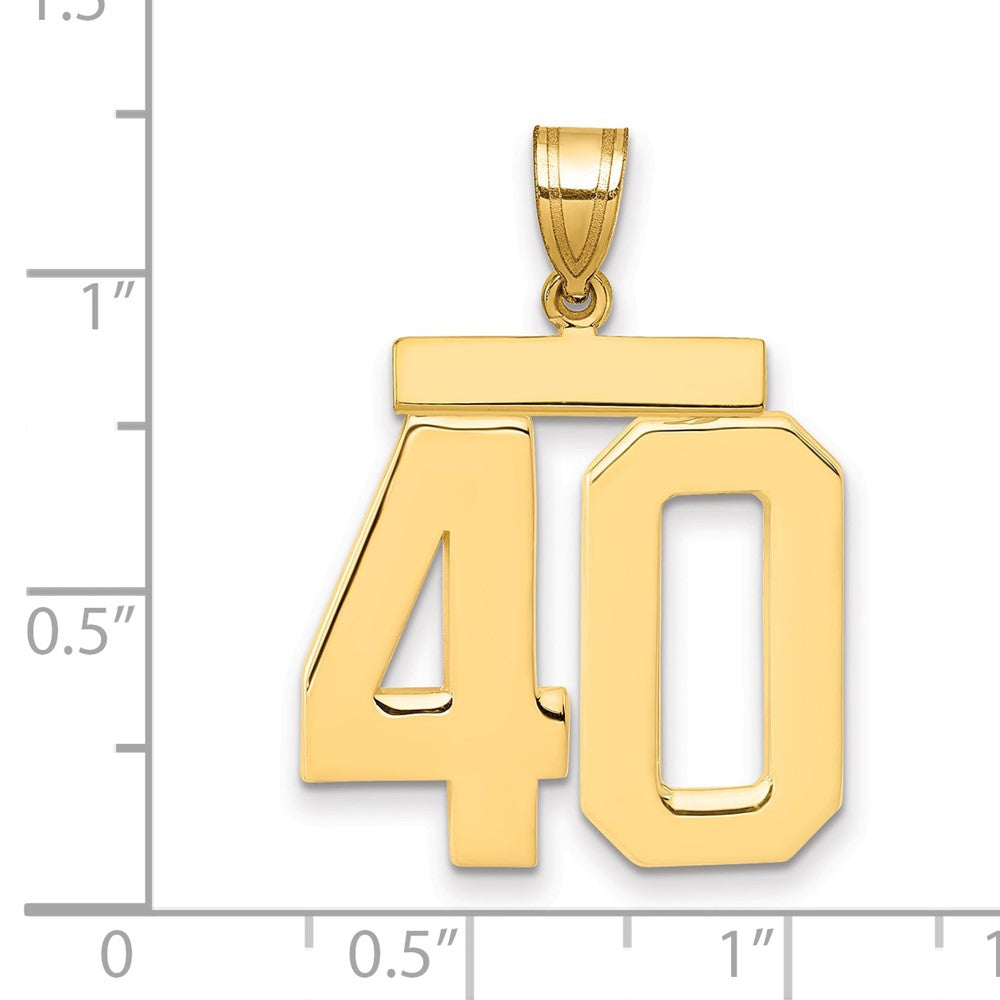 14K Gelbgold Großer Polierter Zahl-40-Charm