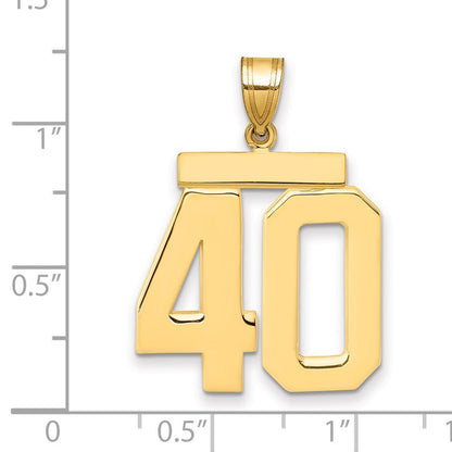 14K Gelbgold Großer Polierter Zahl-40-Charm