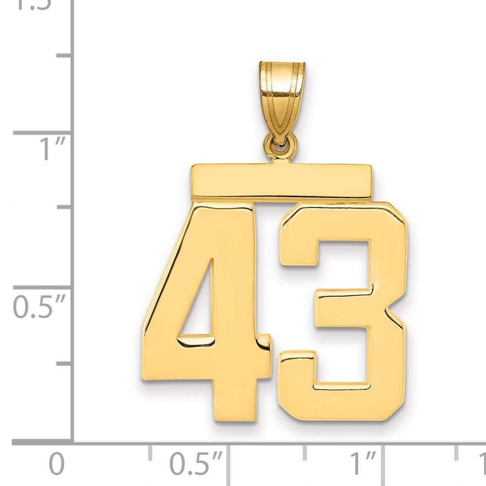 14K Gelbgold Großer Polierter Zahl-43-Charm