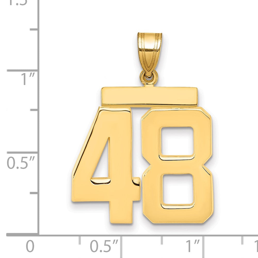 14K Gelbgold großer polierter Zahl-48-Charm