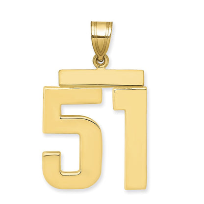 14K Gelbgold Großer Polierter Zahl-51-Charm
