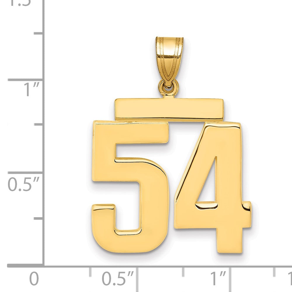 14K Gelbgold Großer Polierter Zahl-54-Charm