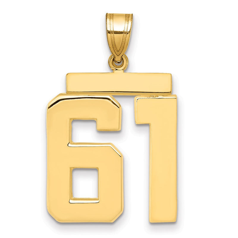 14K Gelbgold großer polierter Zahl-61-Charm