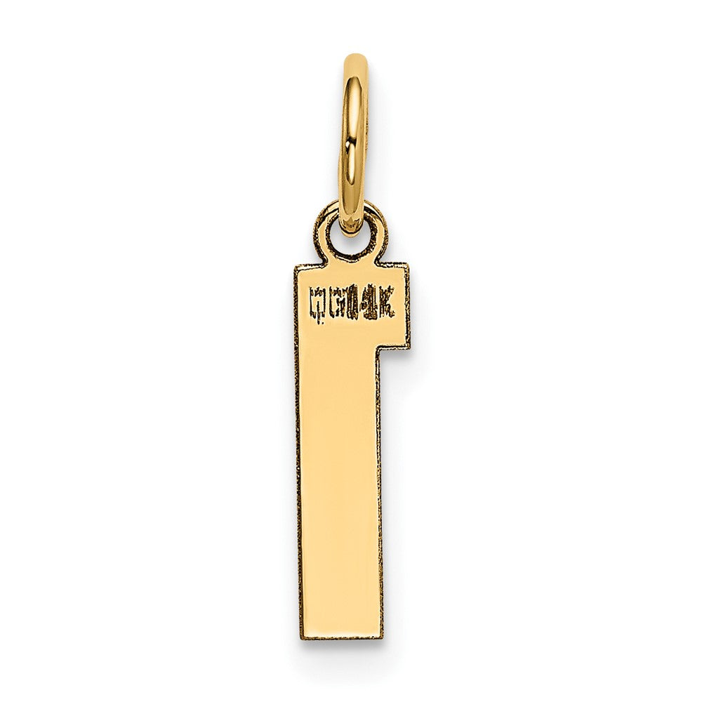 14K Gelbgold 14K Klein Poliert Zahl 1 Charm