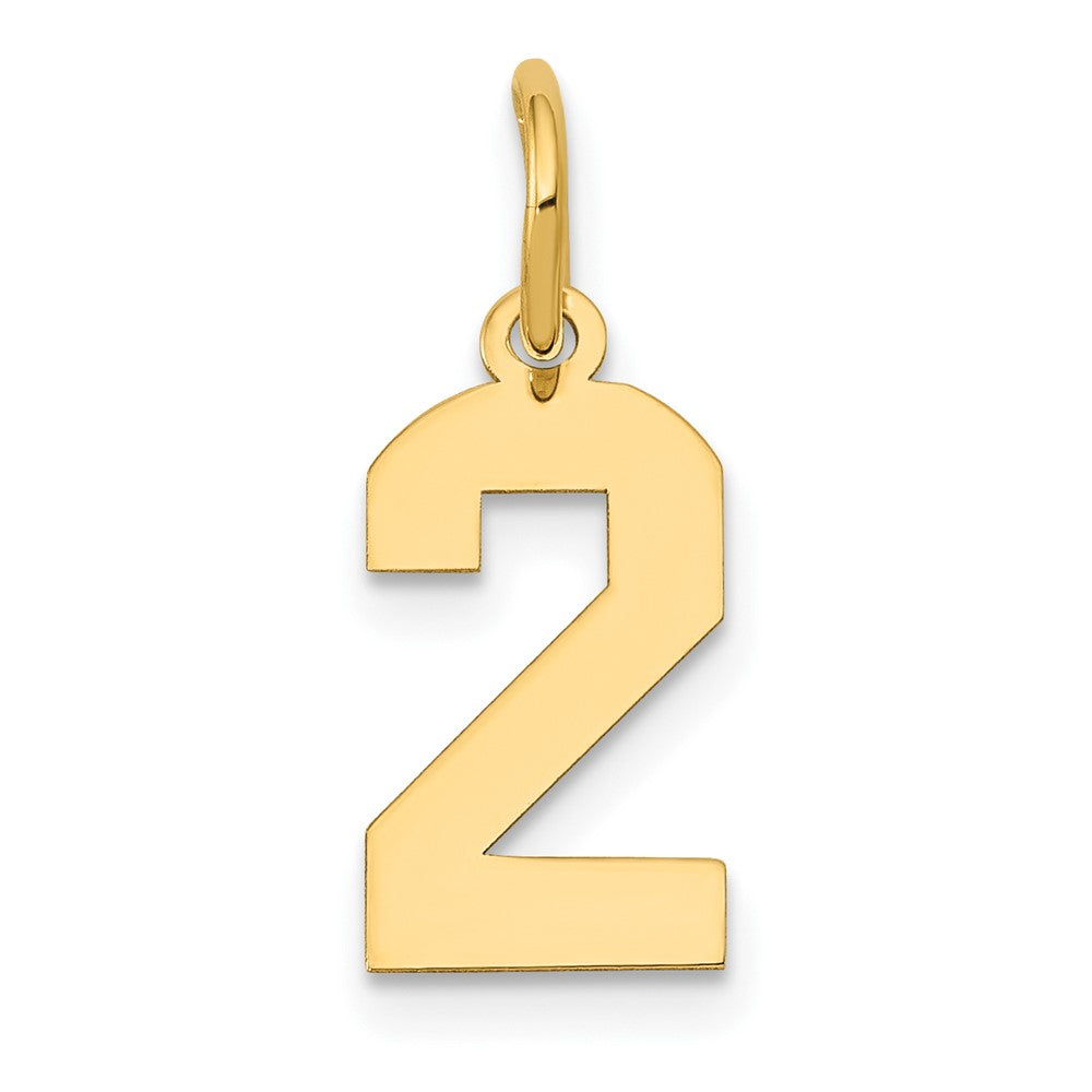 14K Gelbgold 14K Klein Poliert Zahl 2 Charm