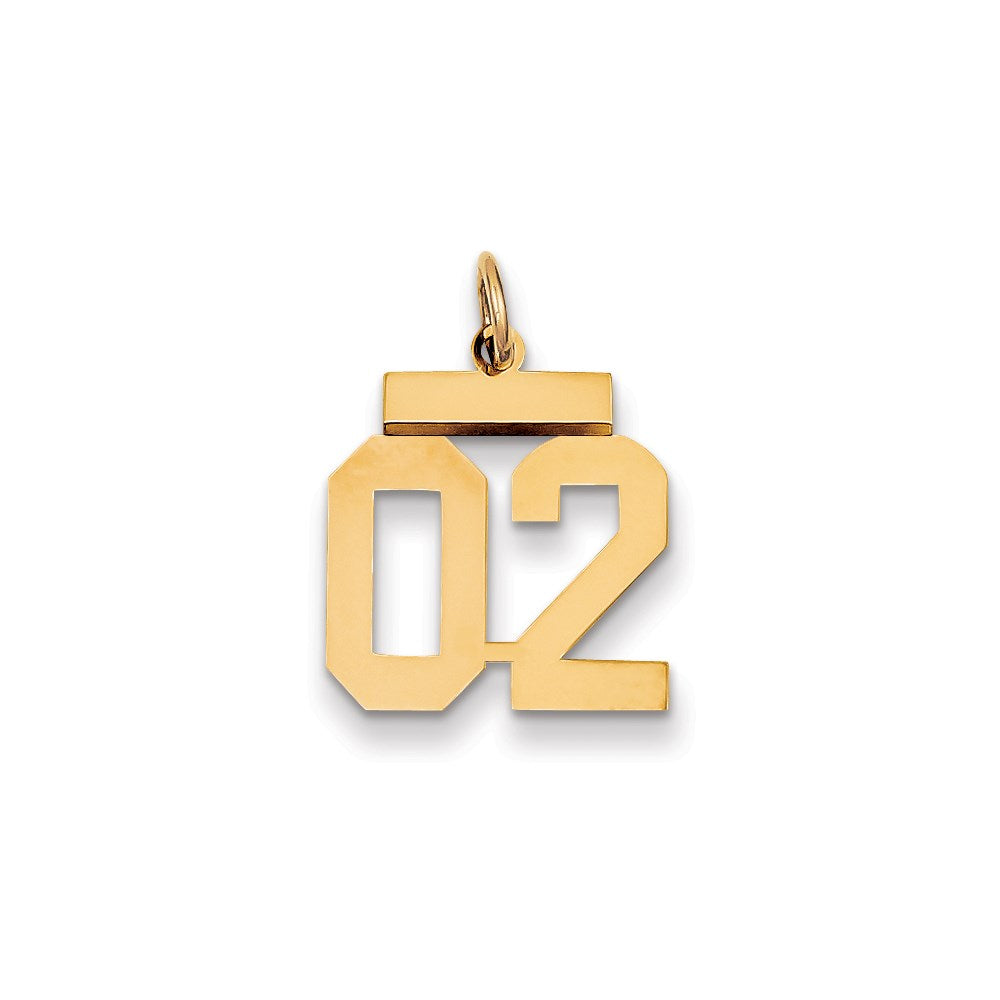14K Gelbgold Klein Poliert Zahl 2 mit Oberteil
