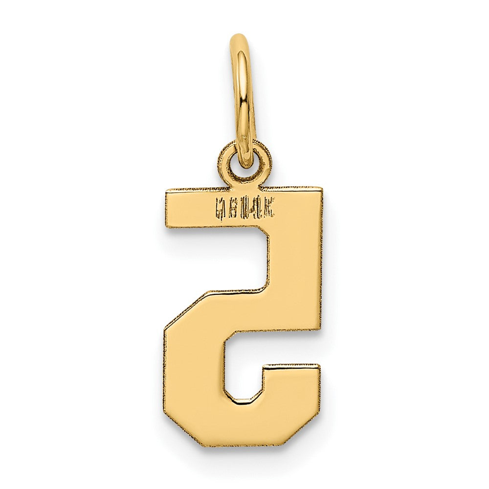 14K Gelbgold 14K Klein Poliert Zahl 5 Charm