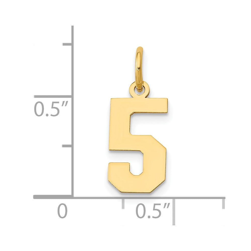 14K Gelbgold 14K Klein Poliert Zahl 5 Charm