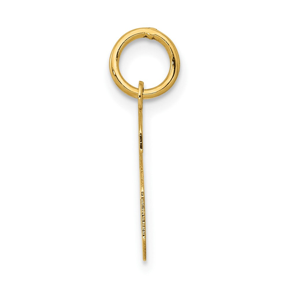 14K Gelbgold 14K Klein Poliert Zahl 6 Charm
